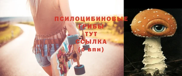 соль ск Белокуриха