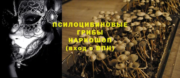 соль ск Белокуриха