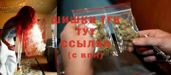 соль ск Белокуриха