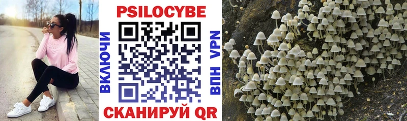 Галлюциногенные грибы Cubensis  Купить где  Собинка 